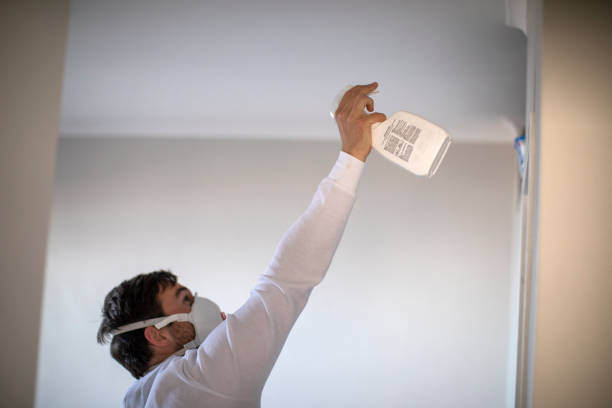 Best Black Mold Removal  in Channelview, TX