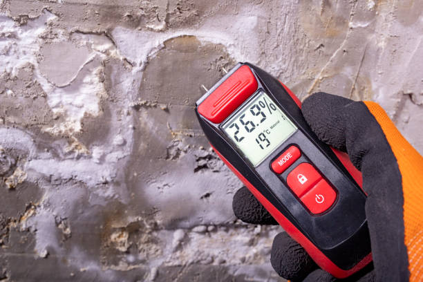 Best Mold Testing  in Channelview, TX